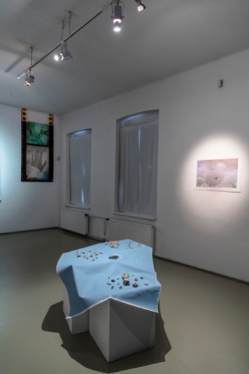 Ester Šabíková, exhibition view MELANCH LIA, PGU Žilina, 2019, photo: Ľuboš Kotlár